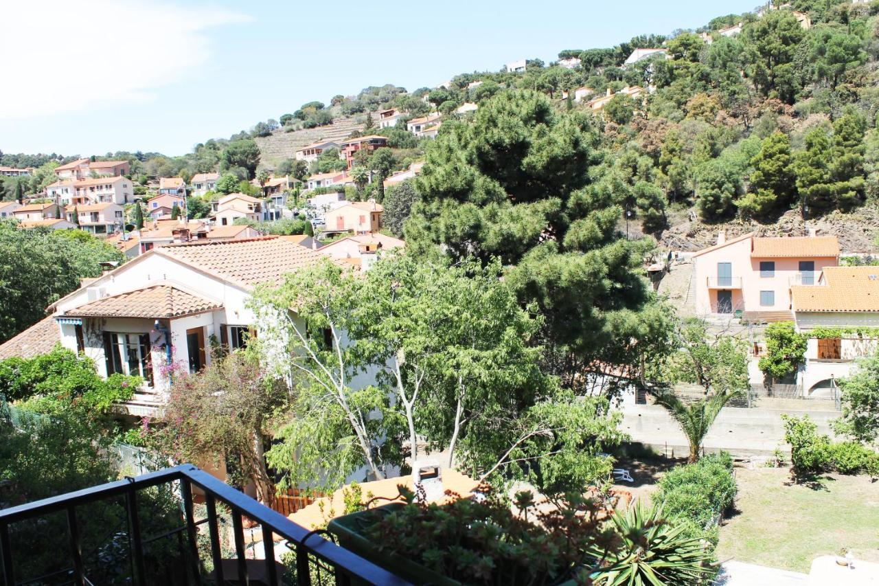 Magnifique Appartement Proche Centre Collioure Eksteriør billede